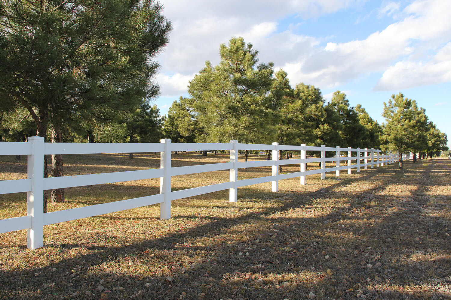 Cedar Fence in Colorado Springs