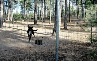 Chain Horse Fencing for Colorado Springs