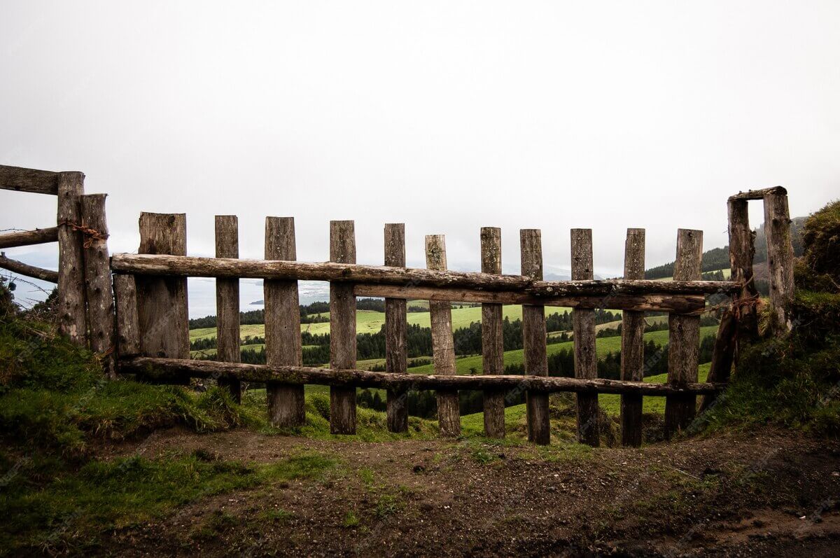 Wooden fence with grassy field and trees in the background